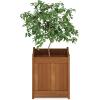 Furinno 2-FG16450 Tioman Hardwood Flower Box, Two-Pack, Natural(1-Pack)