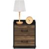 Furinno DARIO Side Table, Square End Table with Storage Bin, Round Corner Night Stand, Bedside Table with Open Back Shelf, for Living Room, Bedroom, Espresso(Columbia Walnut/Black)