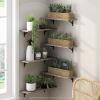 Furinno Rossi Wall Mounted Shelves, 3-Tier Rectangle, Espresso/Black(Metropolitan Pine)