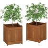 Furinno 2-FG16450 Tioman Hardwood Flower Box, Two-Pack, Natural(2-Pack)