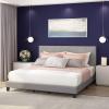 Furinno Laval Bed Frame, King Size Bedframe with Button Tufted Headboard, Upholstered Bed with Legs, 12pcs Wooden Slat Support, Easy Assembly, for Bedroom, Dorm, Light Grey(Light Grey)