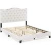 Furinno Lille Button Tufted Bed Frame, Twin, Beige(Button Tufted  Queen)
