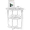Furinno JAYA Side Table Set of 2, 2-Tier Round End Table with Oval Tabletop, Night Stand, Bedside Table with Open Shelf, for Living Room, Bedroom, Walnut(White)