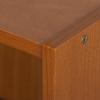Furinno Pasir 3-Tier Shelf with 3 Door/Round Handle, Light Cherry(Light Cherry)
