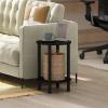 Furinno Turn-N-Tube Side Table, 2-Tier Round End Table with Open Shelf, Night Stand, Bedside Table, Toolless Assembly, for Living Room, Bedroom, Amber Pine(Espresso/Black)