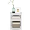 Furinno CAMNUS Side Table, 2-Tier Modern Metal Frame End Table with Open Shelf, Night Stand, Bedside Table, for Living Room, Bedroom, White