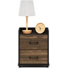 Furinno Tidur Night Stand with Drawers, Rustic Brown Nightstand with 2 Drawers, Open Shelf Bedside Table, End Table, Side Table, Brown Walnut/Black